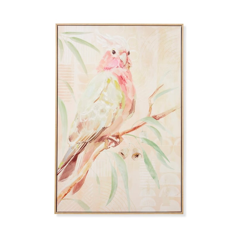 Aves Pink Galah Canvas
