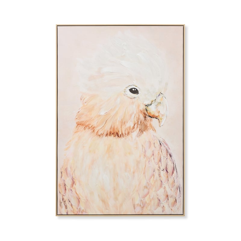 Aves Pink Parrot Canvas