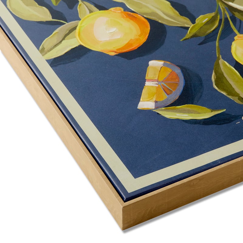 Fruit Citrus Limon Canvas