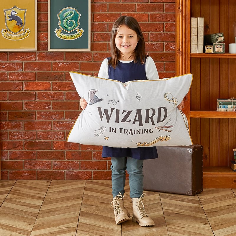 Warner Bros Harry Potter Grey Marle Wizard in Training Pillowcase