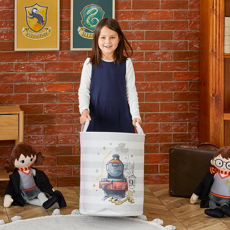 Warner Bros Harry Potter Hogwarts Express Printed Basket  
