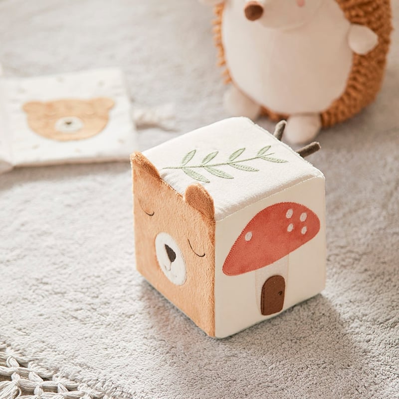 Woodlands Sensory Cube Play Time Baby Toy