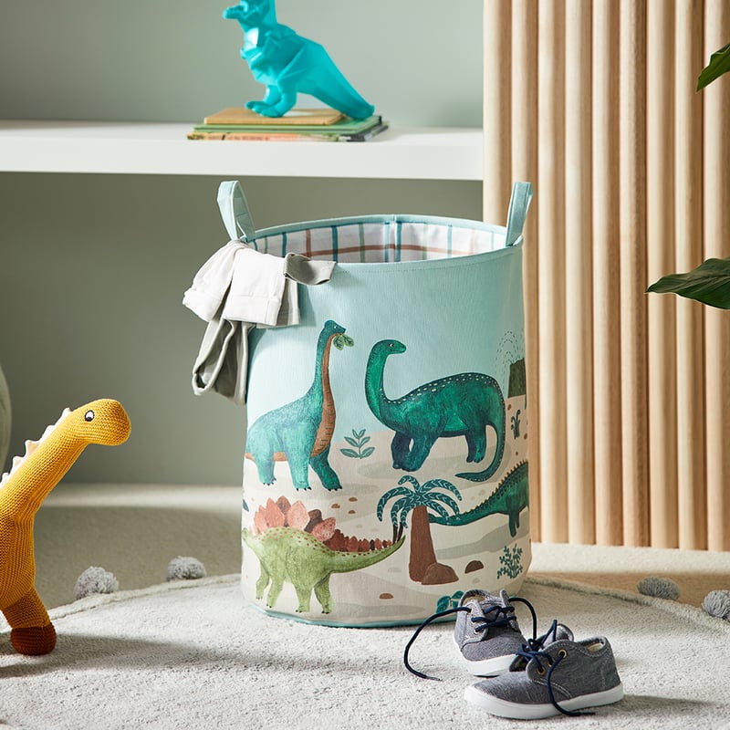 Dinosaur Explore Designer Printed Basket