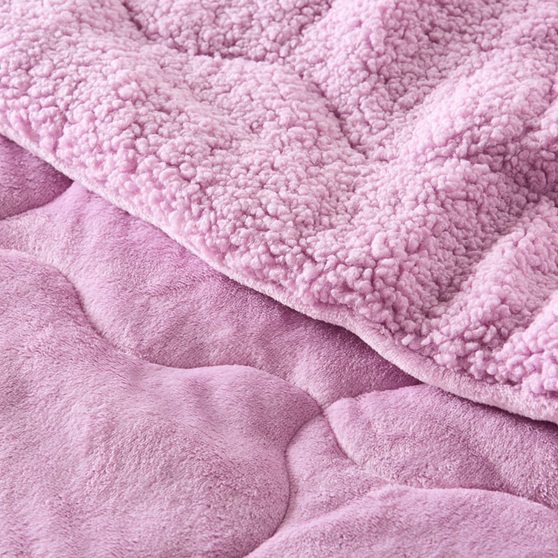 Teddy Lilac Blanket