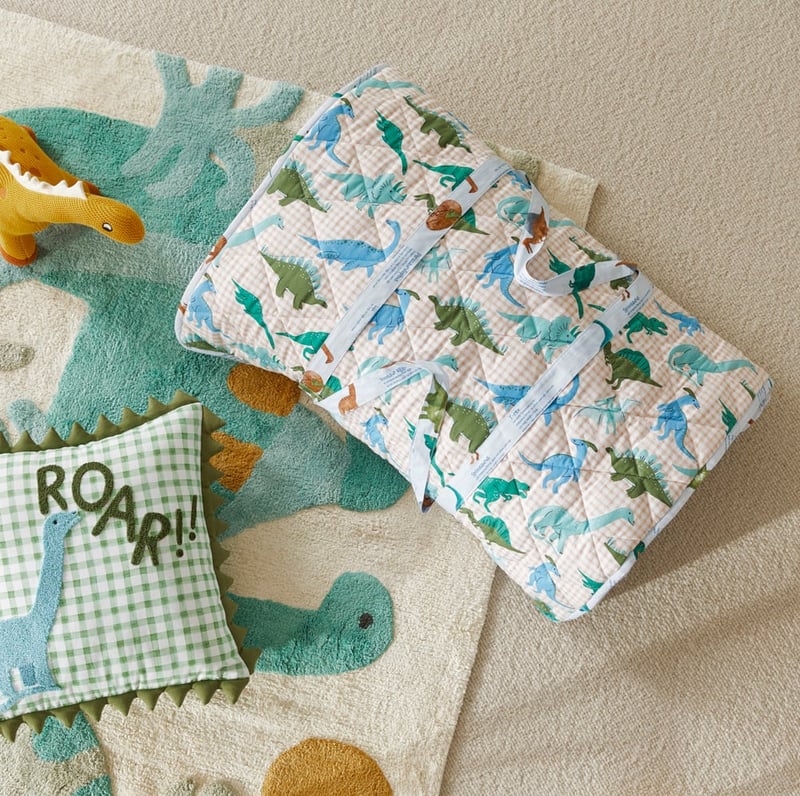 Roar the Dinosaur Sleeping Bag