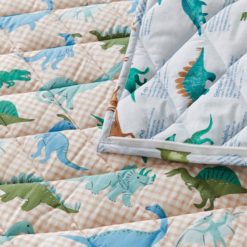 Roar the Dinosaur Sleeping Bag