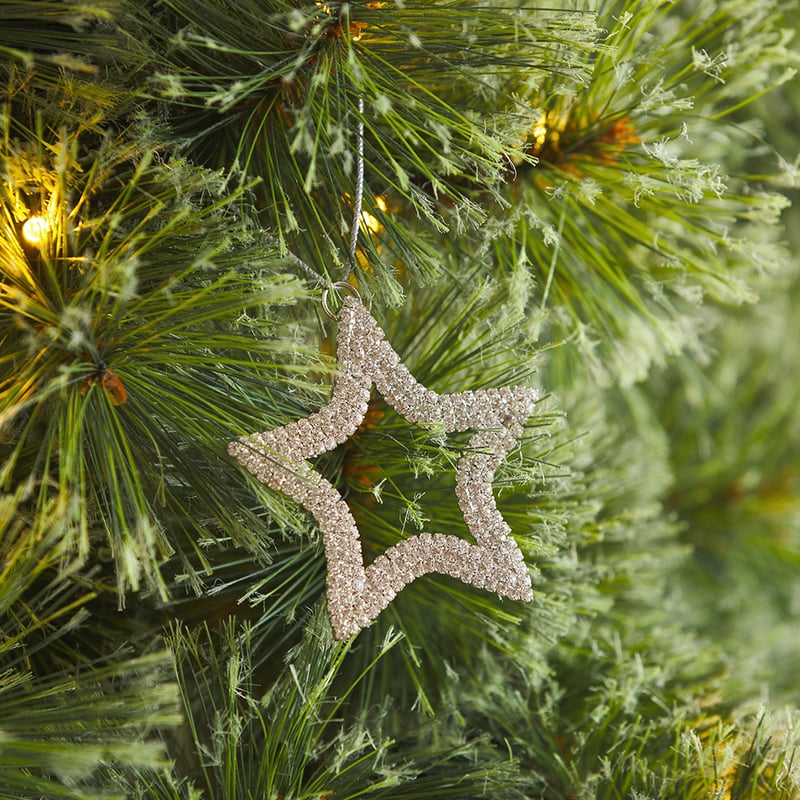 Star Silver Diamond Ornament