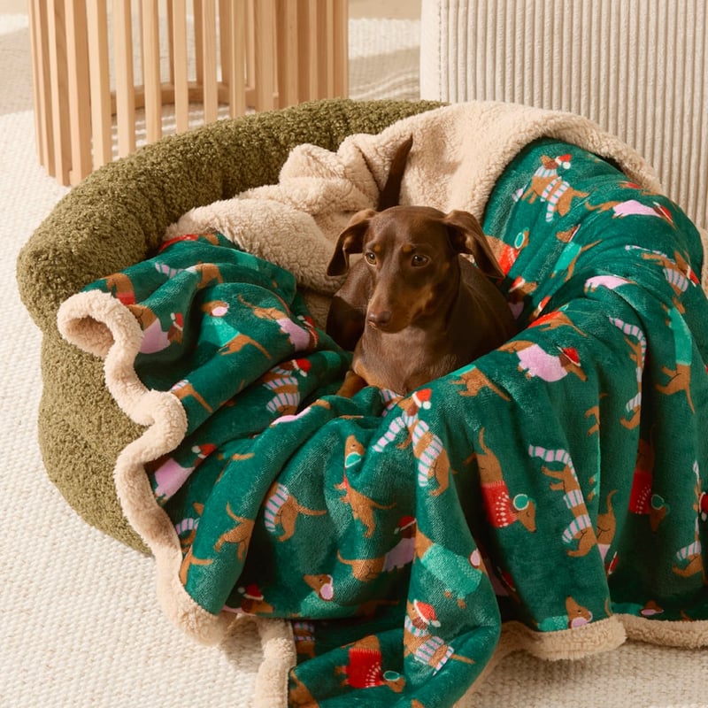 Maisy Green Santa Paws Pet Blanket