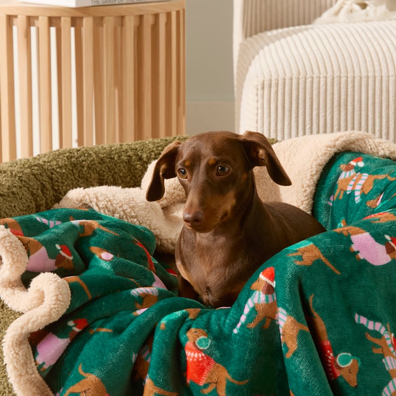 Maisy Green Santa Paws Pet Blanket
