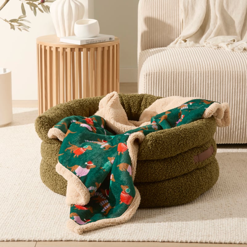 Maisy Green Santa Paws Pet Blanket