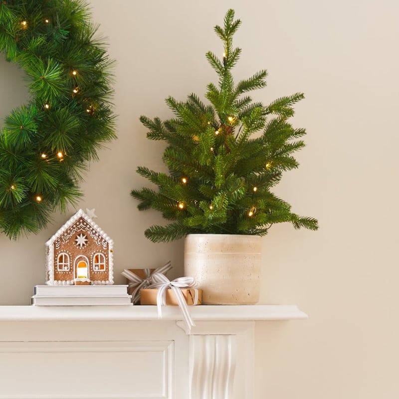 Potted Small LED Christmas Tree