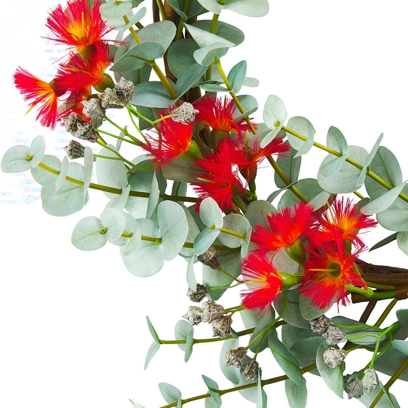 Eucalyptus & Red Flower Wreath