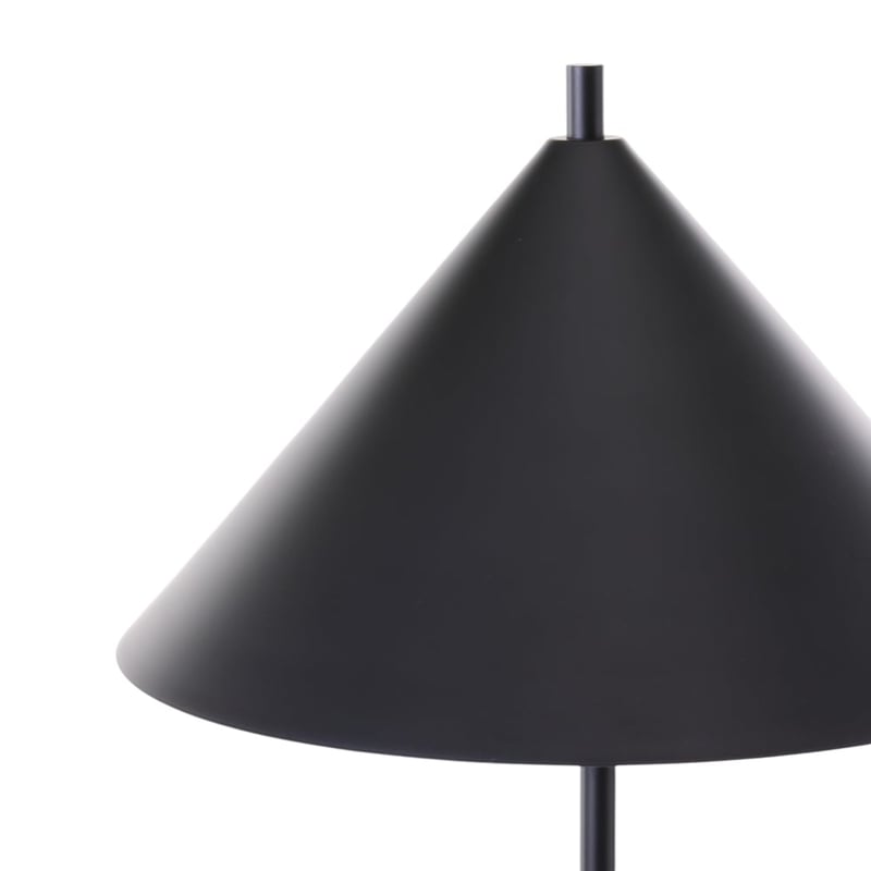 Hariette Black Matte Floor Light