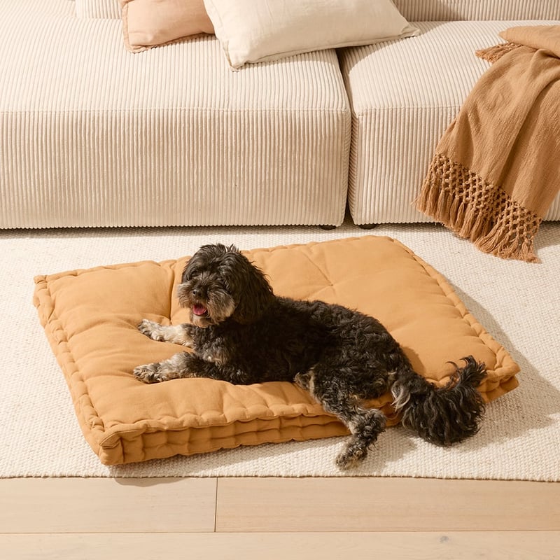 Oasis Spice Dog Bed Cushion