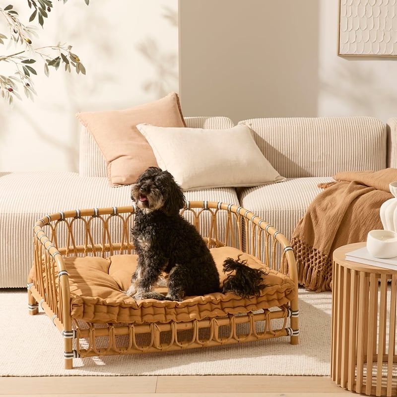 Oasis Spice Dog Bed Cushion