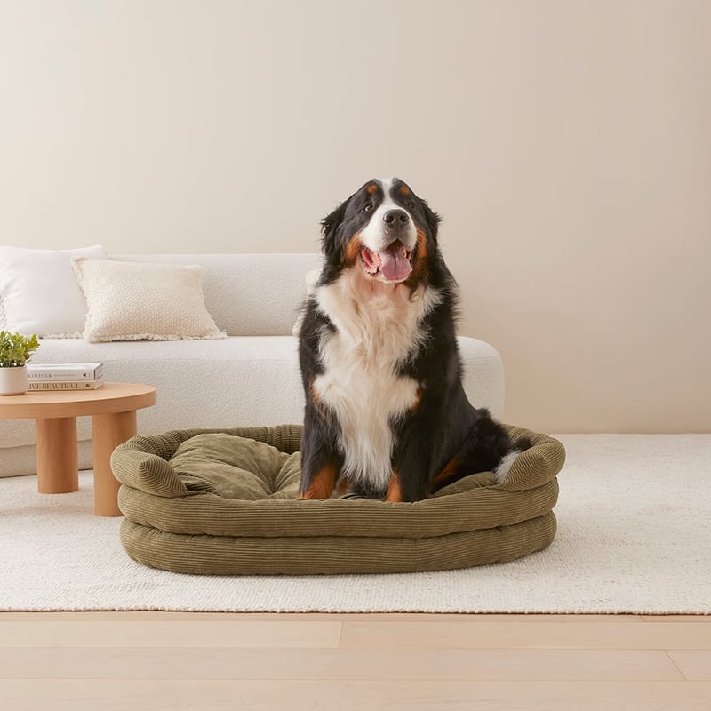 Ziggy Forest Corduroy Pet Bed