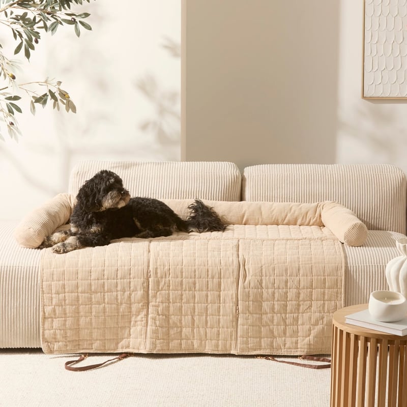 Maisy Biscuit Corduroy Double Fold-Out Pet Bed