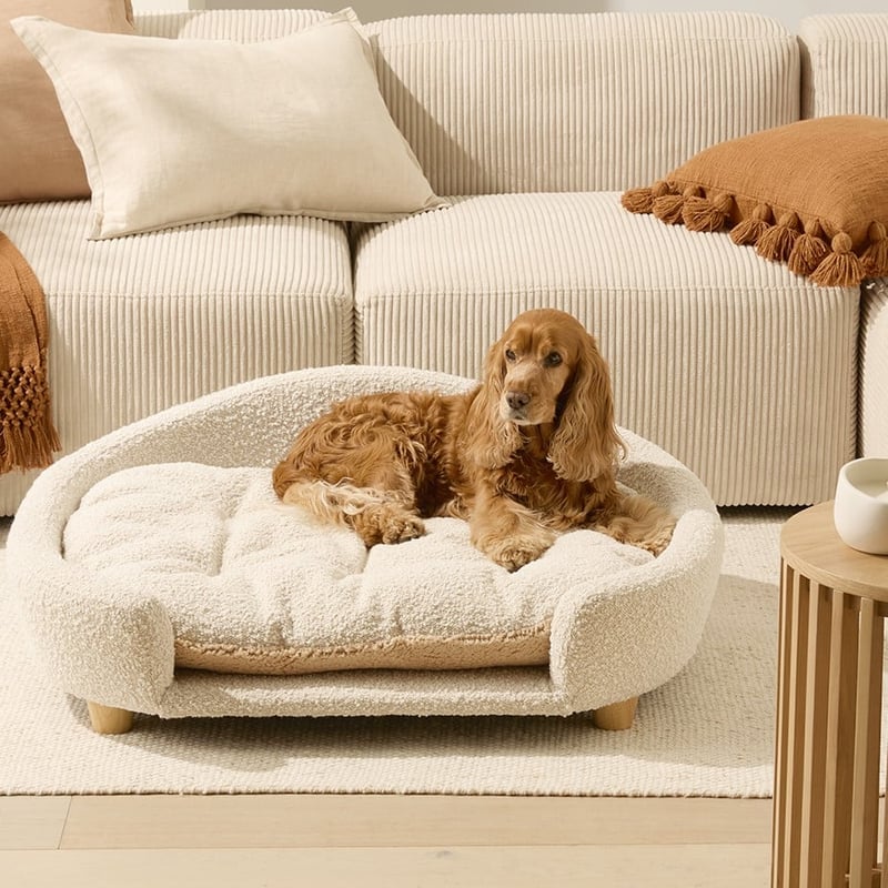 Buddy Cream Boucle Pet Bed