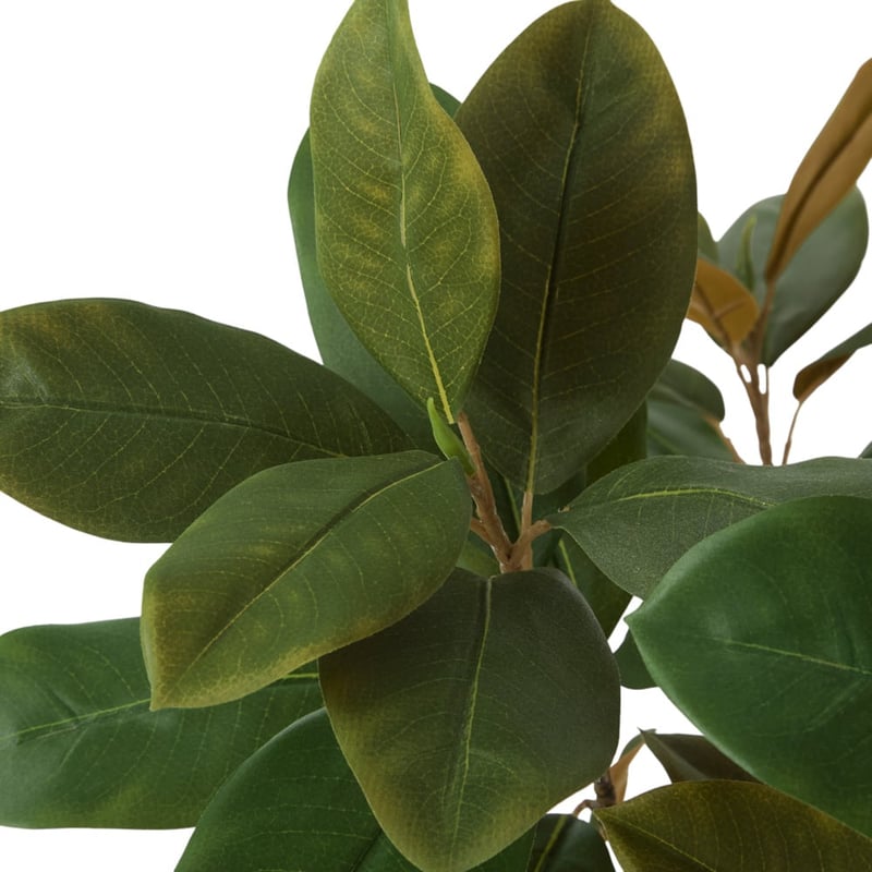 Potted Green Magnolia Tree 150cm