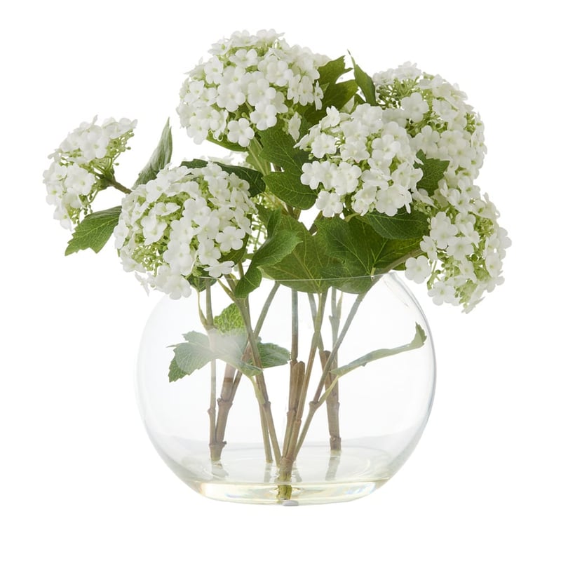 Pom Pom Green Hydrangea in Water