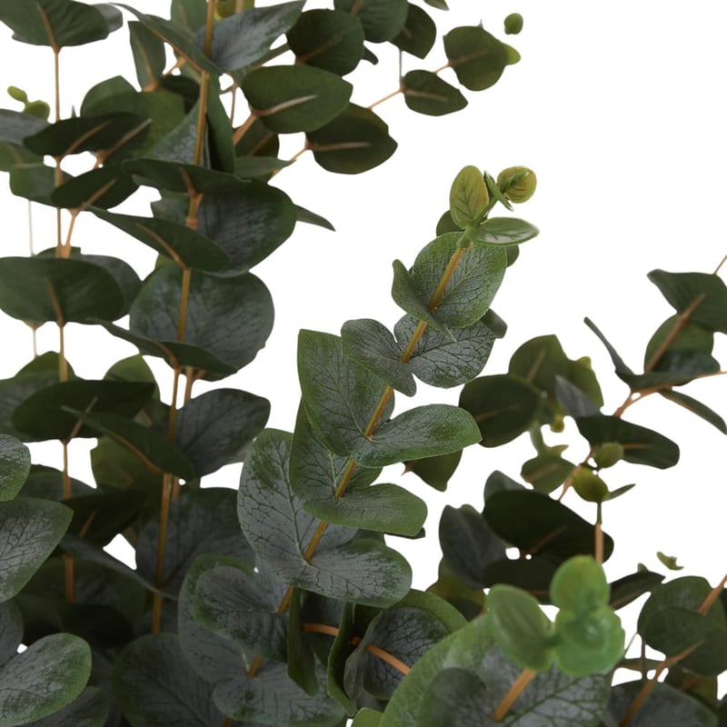 Potted Silver Green Eucalyptus 155cm