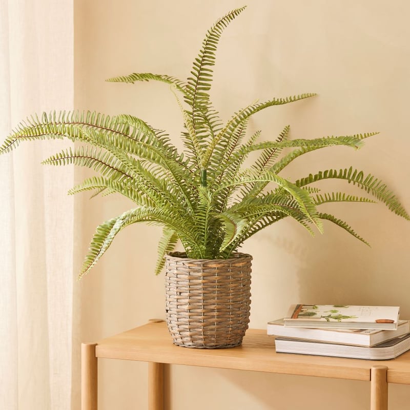 Green Basket Potted Fern 81cm