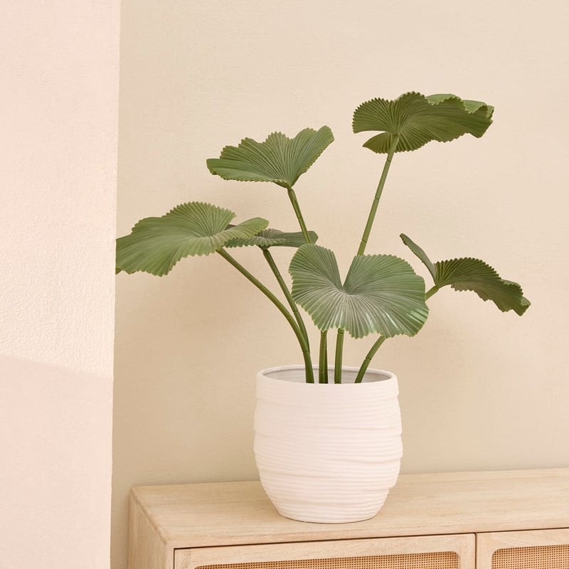 Green Potted Lotus