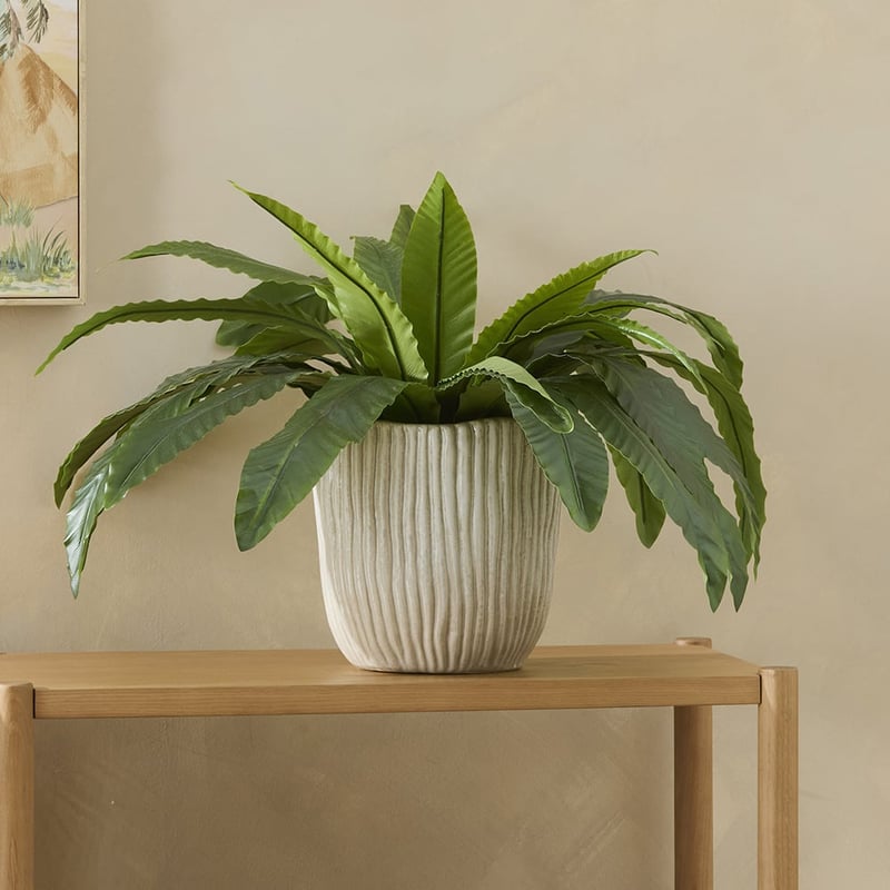 Dusk Off White Rib Pot