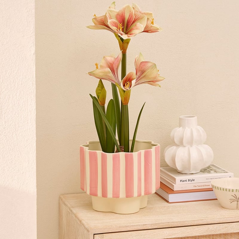 Flower Off White & Pink Stripe Pot