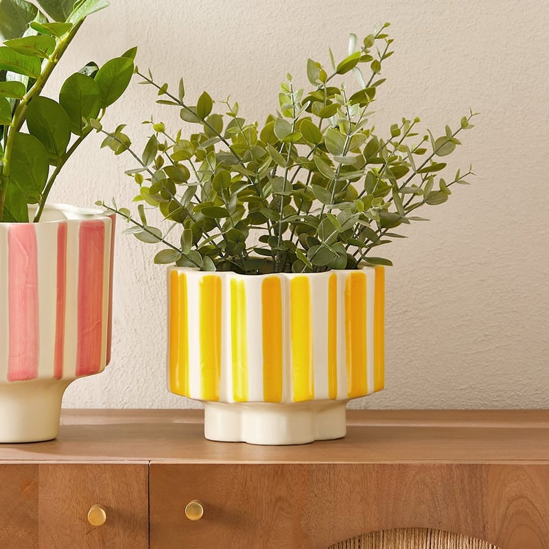 Flower Off White & Yellow Stripe Pot