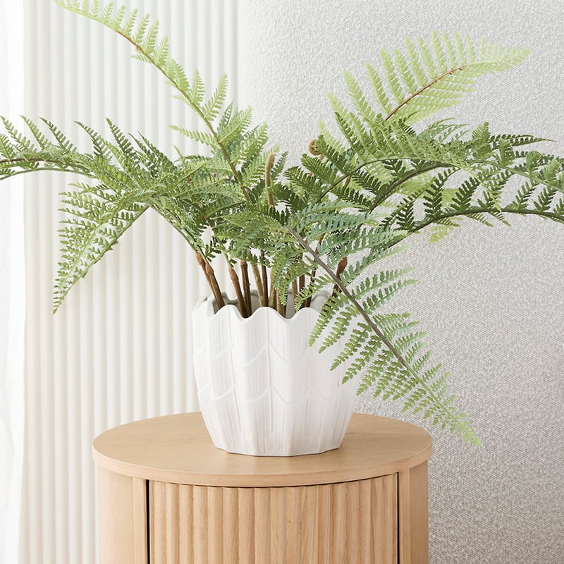 Sculpted Shell Matte White Pot