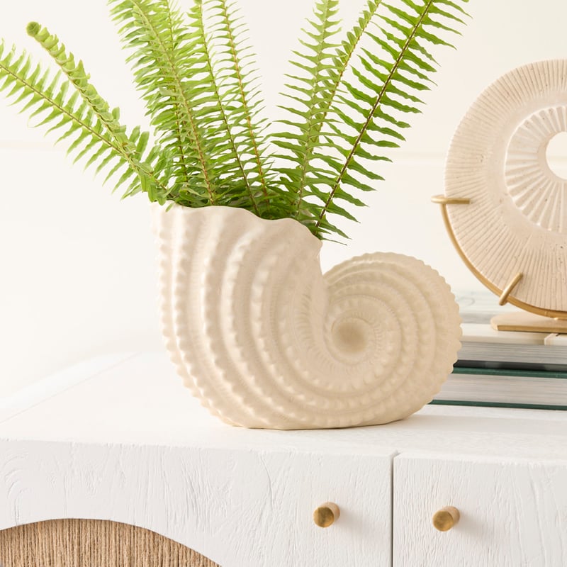 Pacific Off White Conch Vase