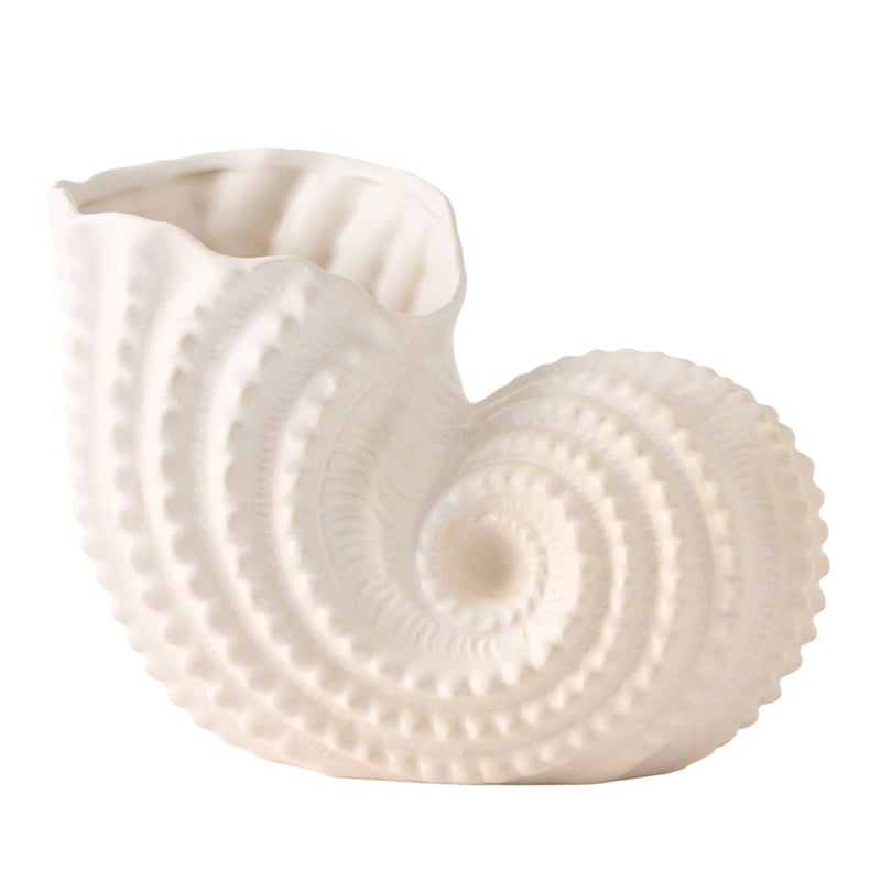 Pacific Off White Conch Vase