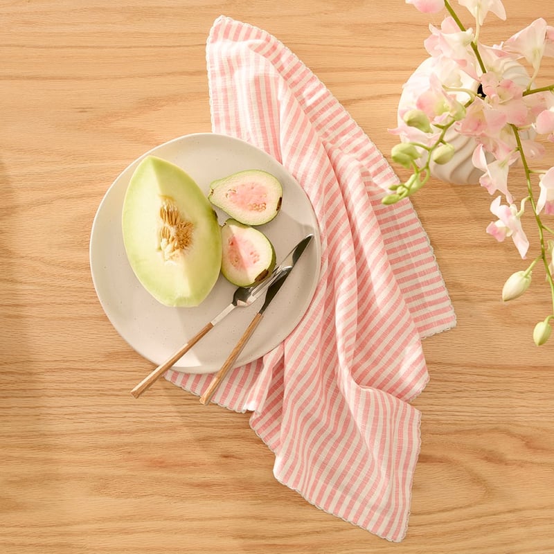 Seville Pink Stripe Napkins Pack of 2