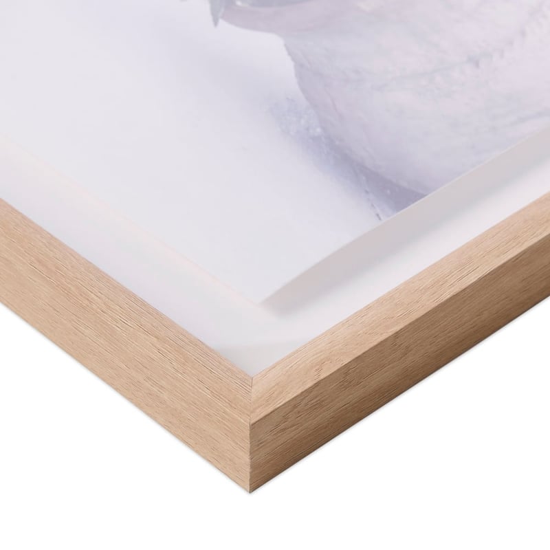Flinders Villa Framed Wall Art