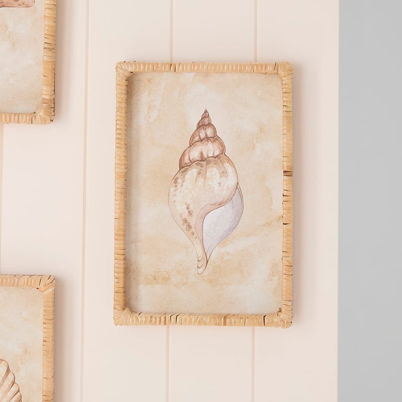 Under The Sea Conch Wall Art