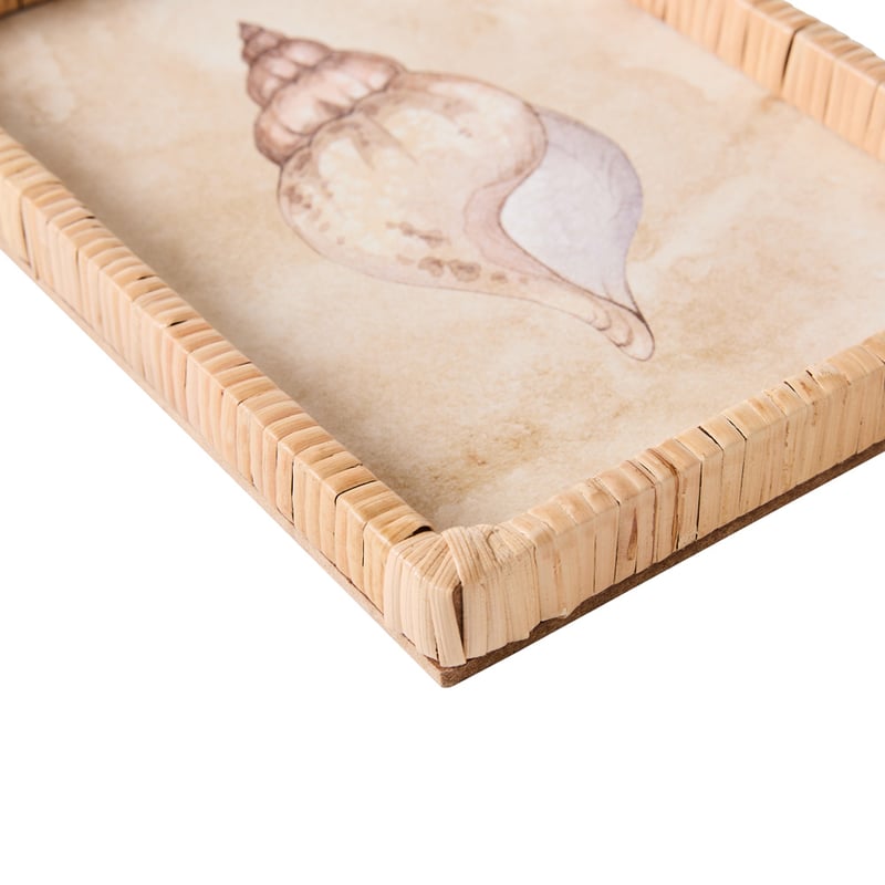 Under The Sea Conch Wall Art