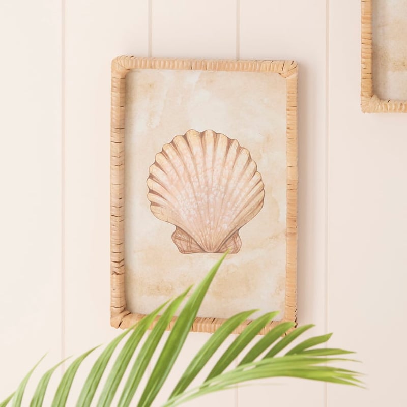 Under The Sea Scallop Wall Art