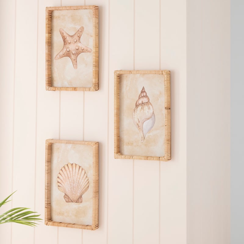 Under The Sea Conch Wall Art