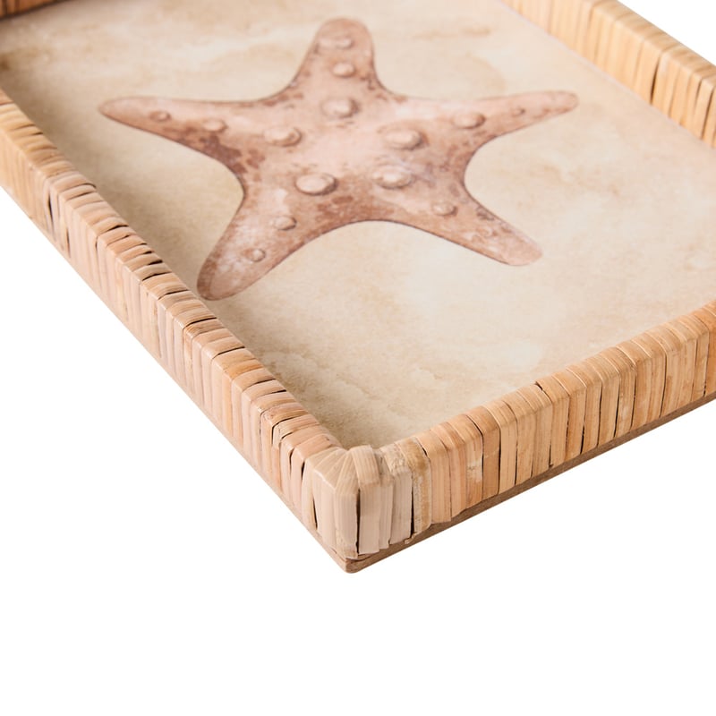 Under The Sea Starfish Wall Art