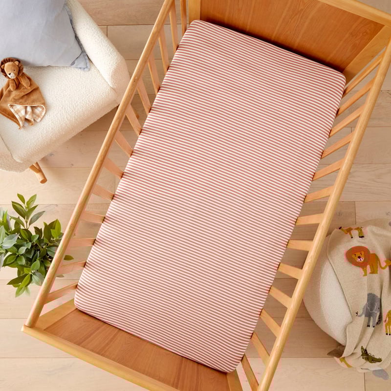 Cotton Jersey Clay Fitted Sheet Set Pack of 2