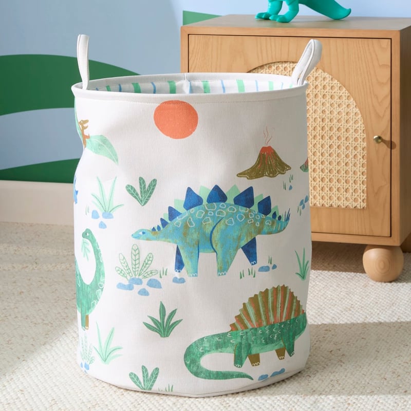 Dinosaur Habitat Printed Basket