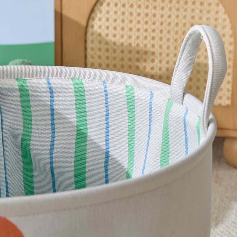 Dinosaur Habitat Printed Basket