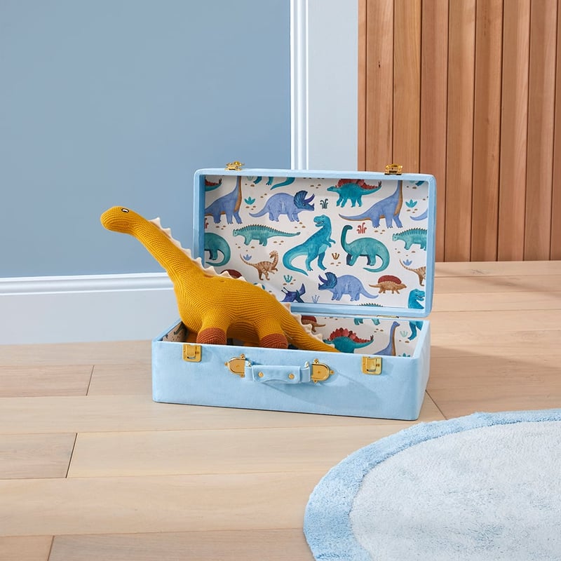 Dino Explore Keepsake Suitcase