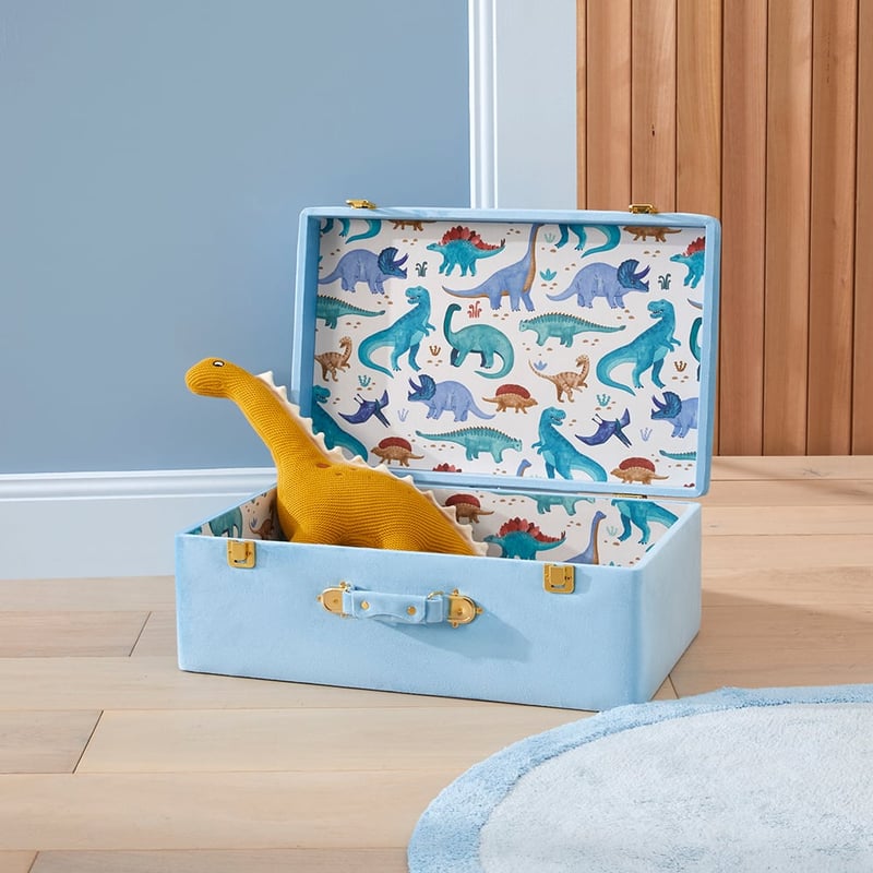 Dino Explore Keepsake Suitcase