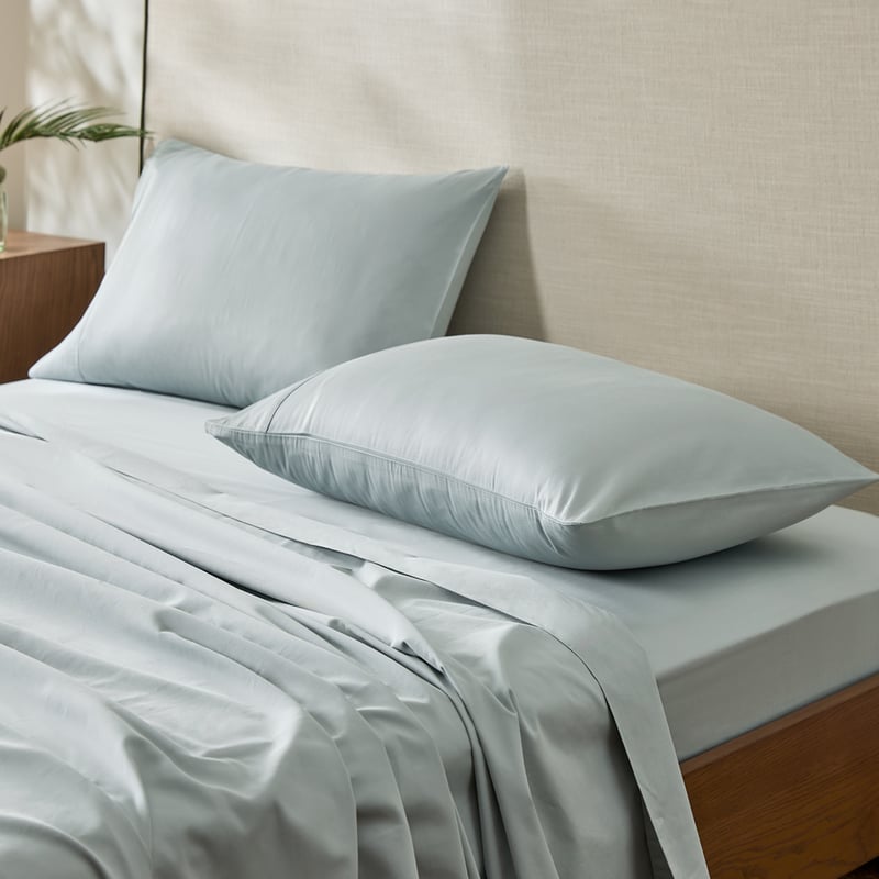Worlds Softest Cotton Duck Egg Sheet Set