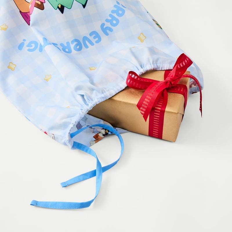 Bluey Merry Everything Santa Sack