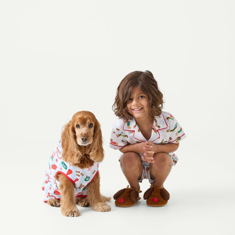 Christmas White & Blue Stripe Pet Pyjamas