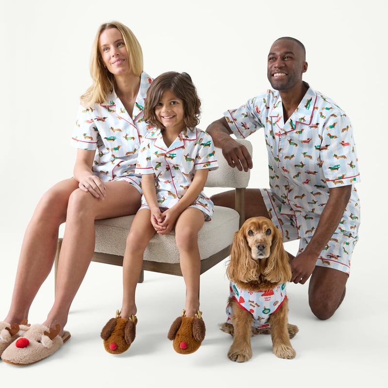 Women's Christmas Dachshund Blue Short Pyjama Set