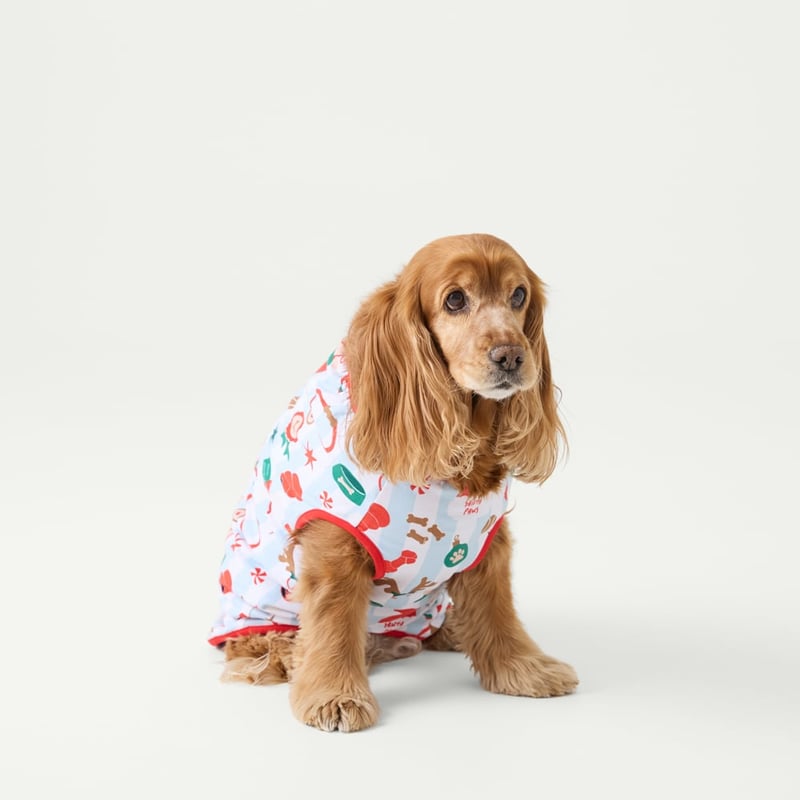 Christmas White & Blue Stripe Pet Pyjamas